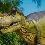 Kan jeg købe dinosaur elefanthuer i forskellige farver?